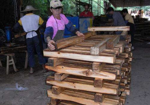 廣東省-惠州方木多片鋸150高加工現(xiàn)場(chǎng)1