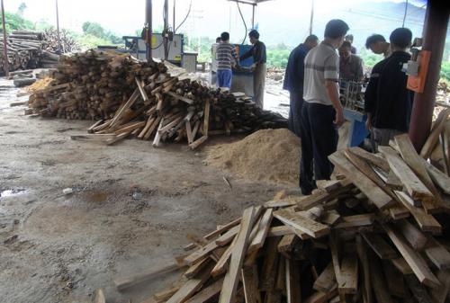 廣東省韶關(guān)市馬壩-方木多片鋸150高-加工現(xiàn)場(chǎng)