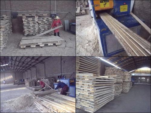 河北省-廊坊-圓木-方木多片鋸-加工現場