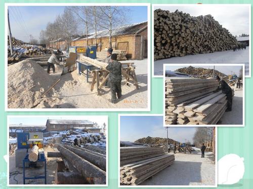 產品名稱:黑龍江伊春新青區-鋸洛葉松-350原木多片鋸-加工現場