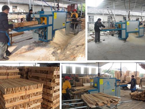 原木多片鋸-圓木多片鋸-200型廣西-桂林-西江鎮(zhèn)加工現(xiàn)場2