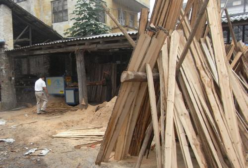 圓木多片鋸-韶關樂昌城200圓木加工現(xiàn)場