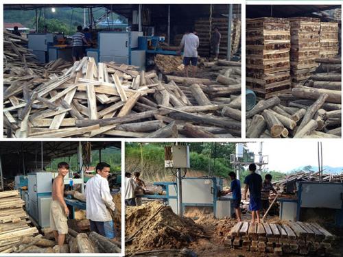 圓木多片鋸-越南-廣寧省-先安250型機加工現(xiàn)場