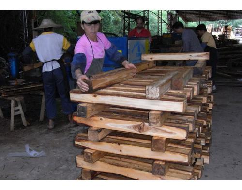 廣東省-惠州方木多片鋸150高加工現場1